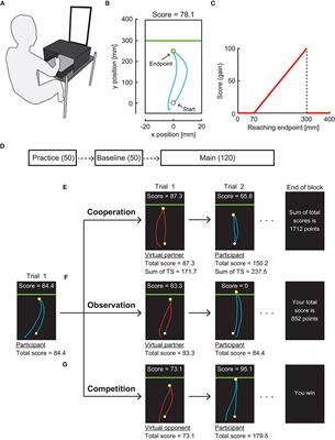 Competition Rather Than Observation and Cooperation Facilitates Optimal Motor Planning